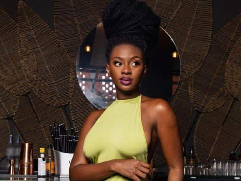 Didi B : aux Seychelles, sa femme Saraï d’Hologne met la toile en ébullition