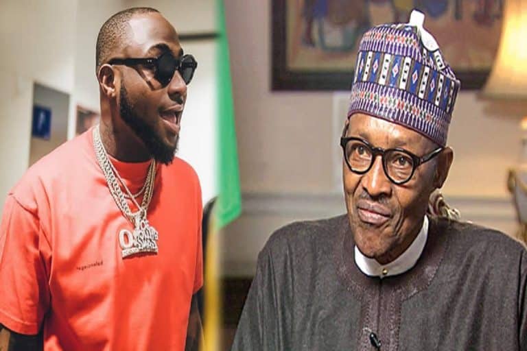 Nigeria : le président Buhari élève Davido au rang de héros national