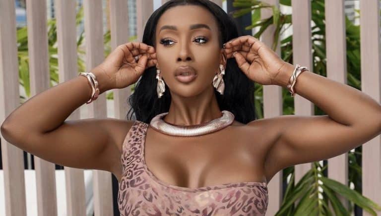 Anita Brown : des vidéos s@xtapes de la femme qui prétend être enceinte de Davido ont fuité