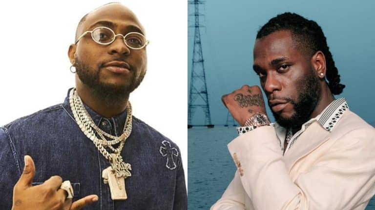 Traité de « nouveau chat » par Davido, Burna Boy réagit