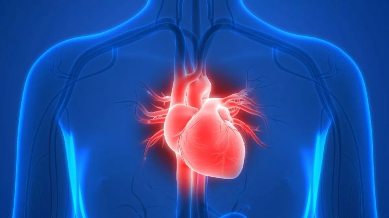 Santé : sept astuces pour maintenir son cœur en bonne santé