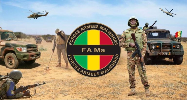 Sécurité au Mali : l'armée traque et démantèle plusieurs groupes terroristes