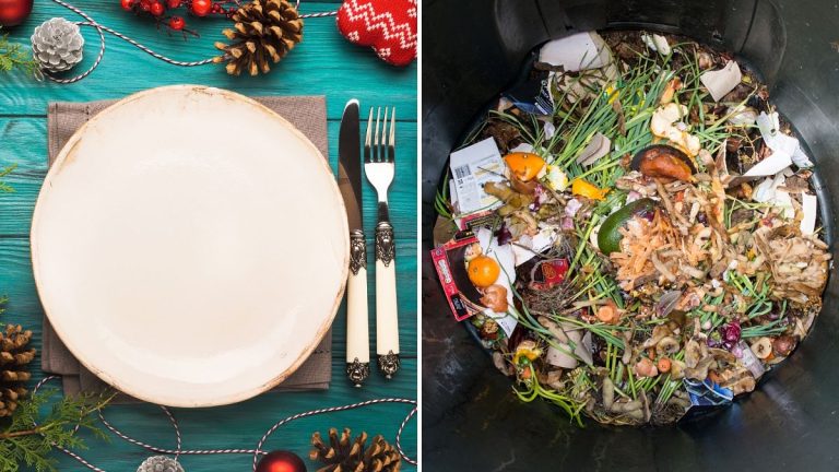 Noël : comment le gaspillage alimentaire contribue au réchauffement climatique ?