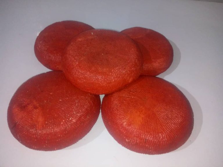 Ce projet pour le fromage peulh (Wagashi) va fortement transformer le nord du Bénin