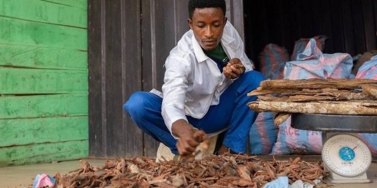 Bénin : grande formation sur les médecines traditionnelles à Abomey Calavi