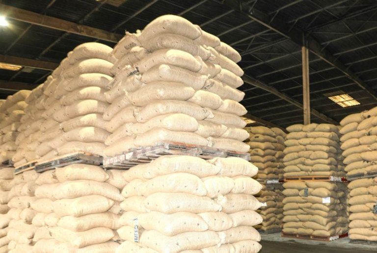 Côte d'Ivoire : excellente nouvelle pour les exportateurs de café et cacao
