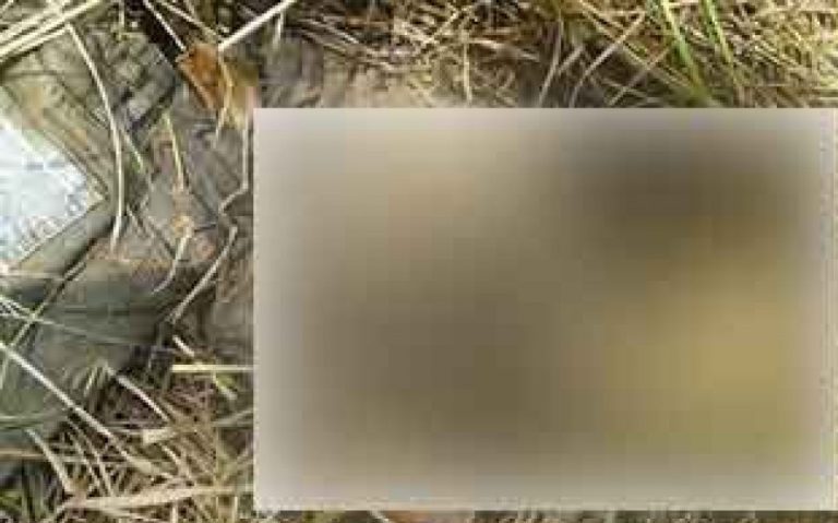 Bénin: une fillette de 8 ans sacrifiée au fétiche à Agbangninzoun