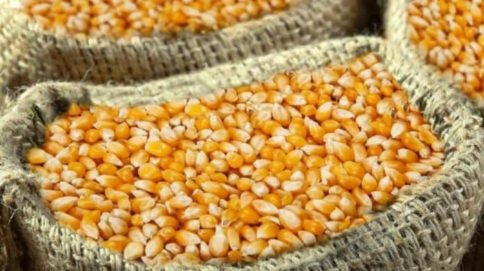 Bénin : quid des vraies raisons de la hausse des prix des denrées alimentaires ?