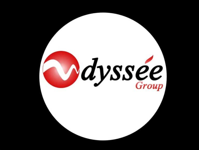 Odyssée Group : un acteur clé de développement économique en Afrique