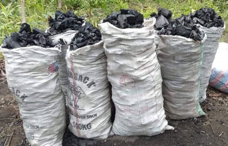 Bénin : les conditions de transport du charbon de bois et du bois de chauffe