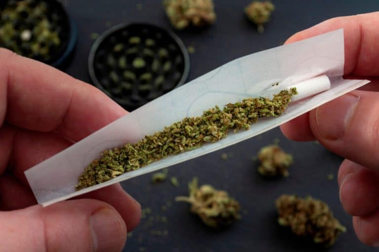 Ce pays africain ouvre une école pour former dans les métiers de cannabis