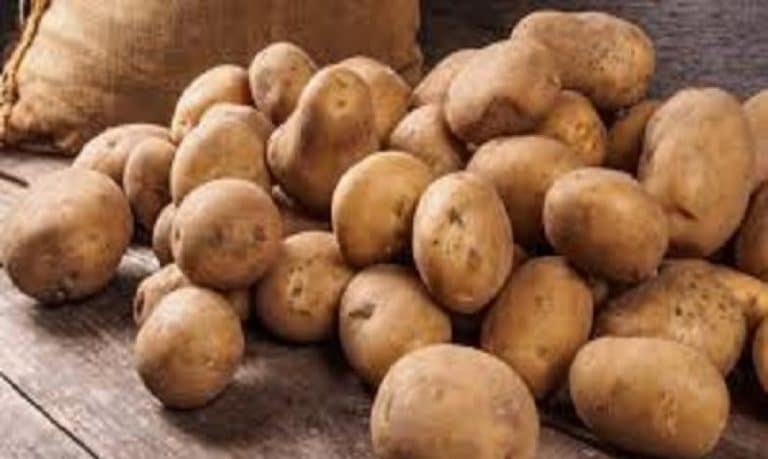 Burkina Faso : pourquoi la pomme de terre importée est interdite ?