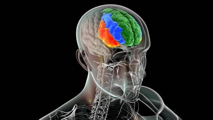 Corruption : notre cerveau, notre pire ennemi !