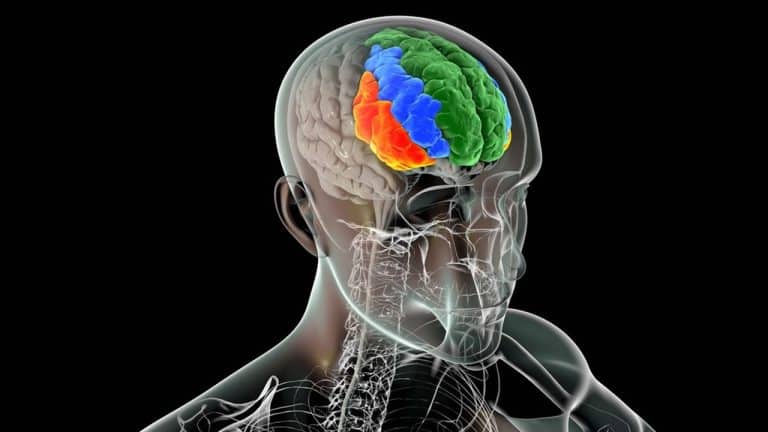 Corruption : notre cerveau, notre pire ennemi !
