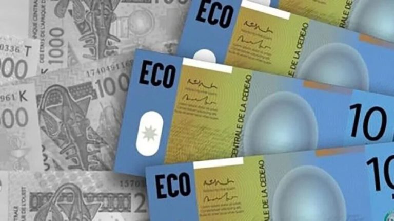 La Guinée temporise sur la monnaie unique ECO et entretient le doute sur l’échéance de 2027