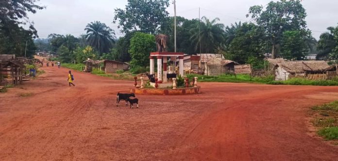 Centrafrique : la peur des trafics d'organes vide les champs autour de Bayanga