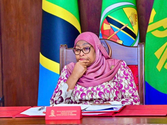 Tanzanie : le numéro deux de l’État quitte déjà le pouvoir