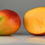 mangue